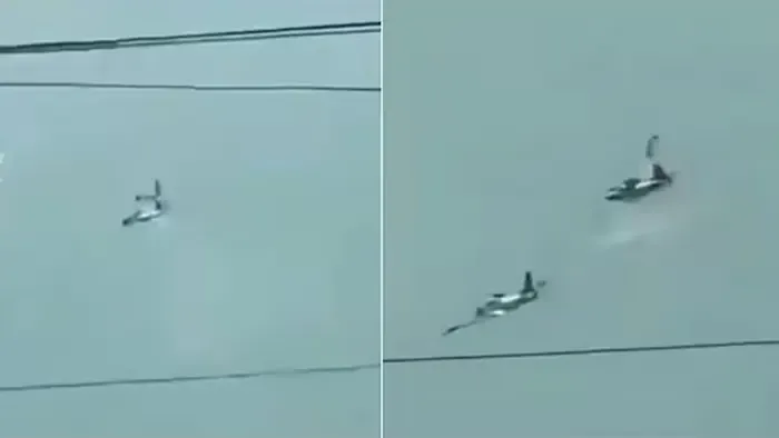 ফিলিপাইনে মাঝ আকাশে সামরিক বিমানের সংঘর্ষ, নিহত ৪