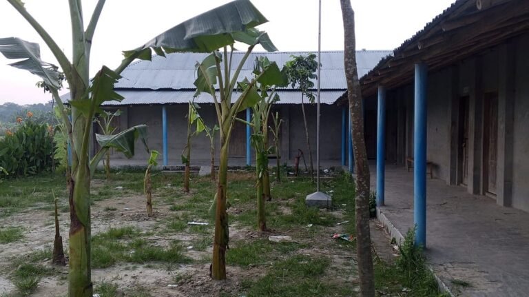 রাজশাহীতে বিদ্যালয়ে তালা ও মাঠে কলাগাছ: দাতা সদস্যের কাণ্ড