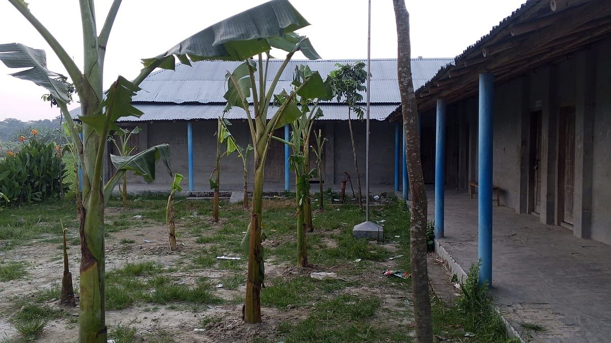 রাজশাহীতে বিদ্যালয়ে তালা ও মাঠে কলাগাছ: দাতা সদস্যের কাণ্ড