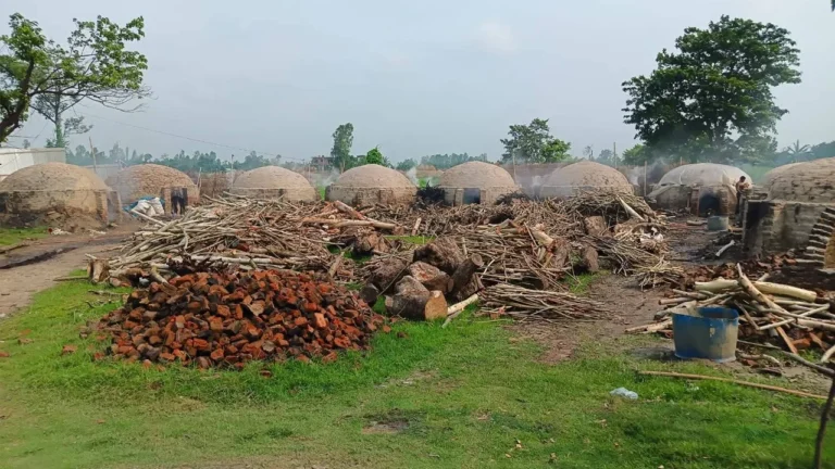 সাঘাটায় অবৈধ কয়লা কারখানার ধোঁয়ায় অতিষ্ঠ জনজীবন